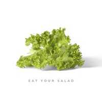 Citi Zēni - Eat Your Salad