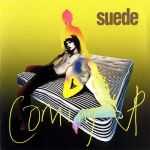 Suede - Picnic by the motorway