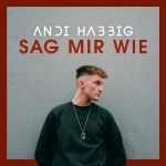 Andi Habbig - Sag mir wie