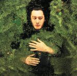 Alain Bashung - Aucun express