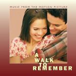 A walk to remember - Dancing in the moonlight