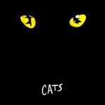 Cats - Grizabella the Glamour Cat