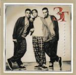 3T - Brotherhood