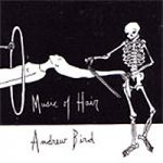 Andrew Bird - Song of foot