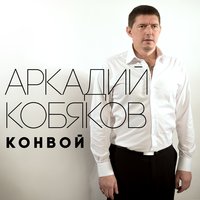 Аркадий Кобяков - Мрак и холод
