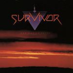 Survivor - Didn't know it was love